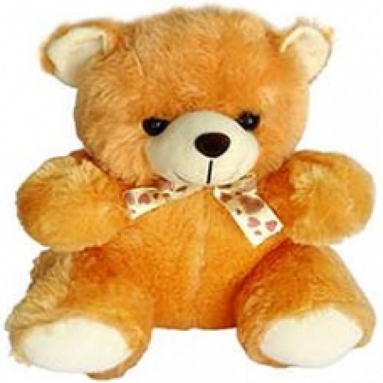 Soft and Cute Master Teddy Bear (10 inches)